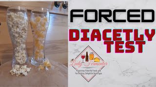 Forced Diacetyl Test when brewing beer [upl. by Elston]