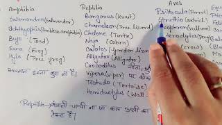 Tetrapoda examples with super pnemonics 😱😁 [upl. by Milone]