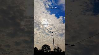 N E P H O P H I L E  atumn nephophile sky blue like viralvideo ytshorts [upl. by Laryssa]