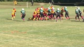 Big play Kanawha Redskins 9u [upl. by Larochelle437]