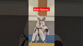 Waki Gatame version Nihon Tai Jitsu NihonTaiJitsu SelfDefense artsmartiaux [upl. by Sunshine]