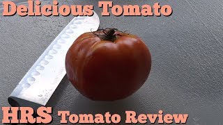 ⟹ Delicious Tomato  Solanum lycopersicum  Tomato Review [upl. by Floss]