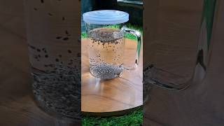 Chia seeds How to prepare chia seeds for weight loss  how hashtag weightloss youtubeshorts [upl. by Tizes]