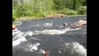 Lower Petawawa River Canoe Trip 2013 [upl. by Burnside776]