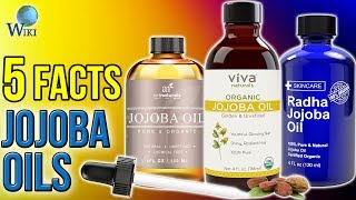 Jojoba Oils 5 Fast Facts [upl. by Schurman875]