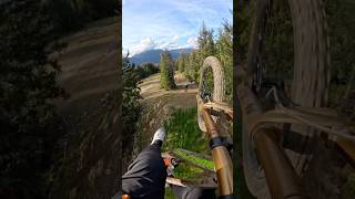 The Biggest Jumps in Whistler Bike Park 😍 whistler crabapple 🦀🍎 [upl. by Ranger959]