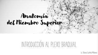 Introducción al Plexo Braquial [upl. by Sakmar]