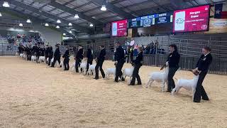 2024 Livestock Show Goats Show [upl. by Levy358]