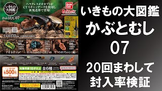 【20回まわして封入率検証】 いきもの大図鑑 かぶとむし07 ヘラクレスやサナギはどれ位ずつ入っているのか？ [upl. by Sibley]