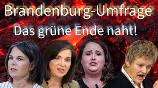 BrandenburgUmfrage Grüne vor der VOLLKATASTROPHE [upl. by Nauqet556]