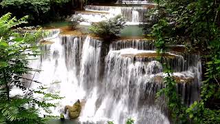 Musique relaxante et calme  Chutes d’eaux et sons de la nature [upl. by Finzer61]