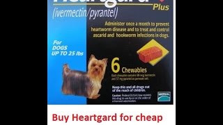 Buy Heartgard Plus For Dogs Online Cheap Without vet [upl. by Yrogerg]