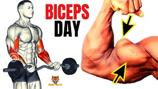 13 BICEPS EXERCISES WITH BARBELL ONLY  Musculation biceps avec barre [upl. by Wolsky]