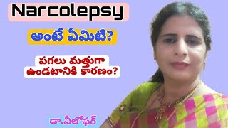 Narcolepsy What is Narcolepsy Narcolepsy Treatment Excessive Sleep Sleep disorders Telugu [upl. by Rockie]