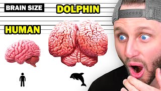 Amazing Facts That Will Blow Your Mind 🧠❗ [upl. by Light245]