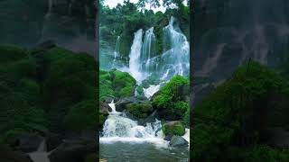 Sham bhi khud hai shortsfeed waterfall travel bollywood ytshorts [upl. by Tran]