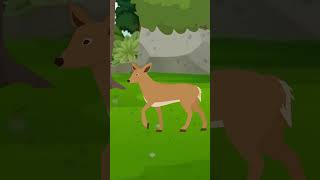 Shak Part 1  One Minute Story  Cartoon  cartoonanimal [upl. by Tada]