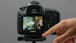 Canon DSLR Tutorial  AF Point Display [upl. by Kayne]