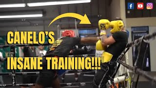 CANELOS INSANE TRAINING [upl. by Amoreta]