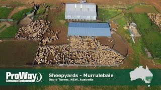 ProWay Sheepyards and Shearing Shed Murrulebale NSW [upl. by Yelnahs]