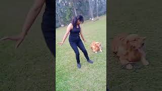 Practice timebeech main mera dog a gayaplease mera dog ko subscribe koro 🦮🦮🦮 [upl. by Cassaundra]