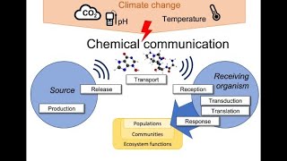 What is Chemical Ecology  Microlearning 3 Minutes [upl. by Schoenburg19]