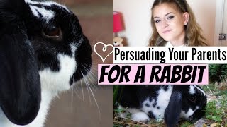 Persuading Your Parents For A Rabbit and other pets  RosieBunneh [upl. by Obocaj997]