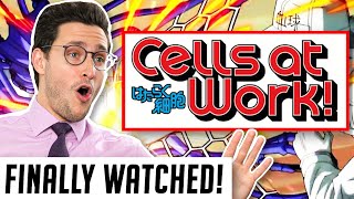 Real Doctor Reacts to CELLS AT WORK Hataraku Saibō [upl. by Tartaglia278]