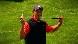 Visionworks INsight Tiger Woods wins 2013 Arnold Palmer Invitational [upl. by Trimble]