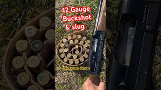 Buckshot Vs Slug review Shotgun [upl. by Calabrese]