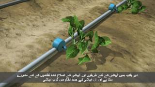 Dubai Ground Water Conservation Program video [upl. by Andrade]