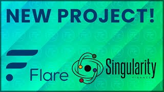 New Flare Project Singularity Finance Financial Management Platform [upl. by Hayotal892]