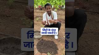 आपने कभी Vermicompost इस्तेमाल किया है क्या 🤔Vermicompost Benefits💯 indianfarmer shorts [upl. by Anilad999]