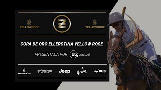 Copa de Oro Ellerstina  Brookshire Polo Team vs Flamboyant [upl. by Atilek]