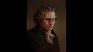 Beethoven Symphony no9 2nd movement  Scherzo Molto vivace Presto [upl. by Nahn]