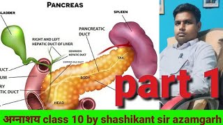 pancrease in humanGlucagoninsuline alpha beeta celldibetiesamylase lypasmixed gland [upl. by Mcnamara]