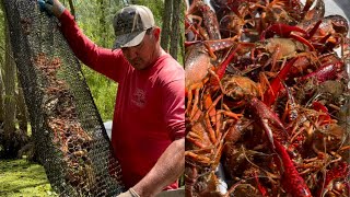 Crawfishing In The Atchafalaya Basin With Kip Barras  CatchCook Part 1 [upl. by Riffle494]