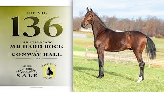 Mr Hard Rock colt  2024 MidOhio Standardbred Yearling Auction lot 136 [upl. by Asyen]