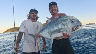 Island Camping in my Tinny  Spearfishing amp Topwater GTs [upl. by Gensmer2]