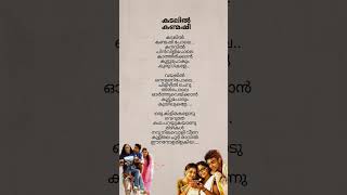 Kadalil Kanmashi Pole Song Lyrics  Buddy  subscribe ytshort trending malayalamsonglyrics [upl. by Eneluqcaj190]