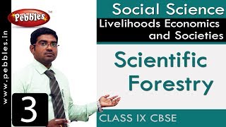 Scientific Forestry  Livelihoods Economics and Societies  Social  CBSE Syllabus  Class 9 [upl. by Asiilanna]