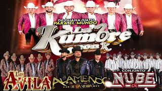 Los Avila La Kumbre Con K Los Alamenos Conjunto Nube  HUAPANGOS MIX 2024  MIX PARA BAILAR [upl. by Ennaed]