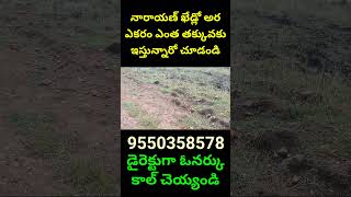 Narayankhed Half Acre Only 95 Lakhs 9550358578 narayankhed farmland telangana realestate plots [upl. by Enamart]