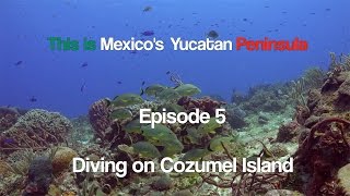 This is Mexicos Yucatan Peninsula  Episode 5  Diving on Cozumel Island in 4K UHD [upl. by Denbrook]