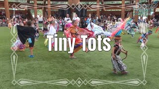 Tiny Tots  2024 Grand Ronde Pow Wow  Powwowscom [upl. by Ethban]