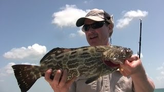 How to Catch Grouper in the Florida Keys [upl. by Borrell]