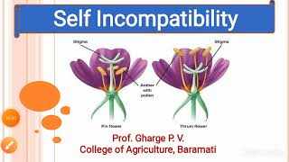 Lecture No 3  Self Incompatibility Part  1 [upl. by Yam184]