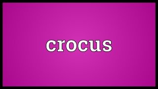 Crocus Meaning [upl. by Atnauqahs]