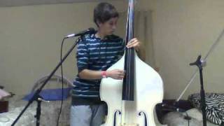 Blink 182  I Miss You Double Bass Cover [upl. by Ardnot]