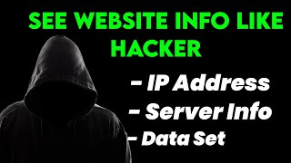 OSINT Unveiling Website Secrets with AllinOne Tools for Domain IP URL and Link Analysis [upl. by Allez431]